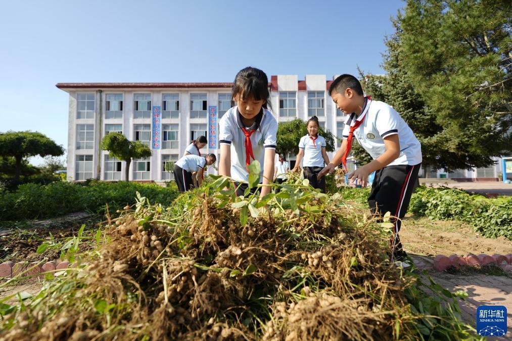 永利会国际